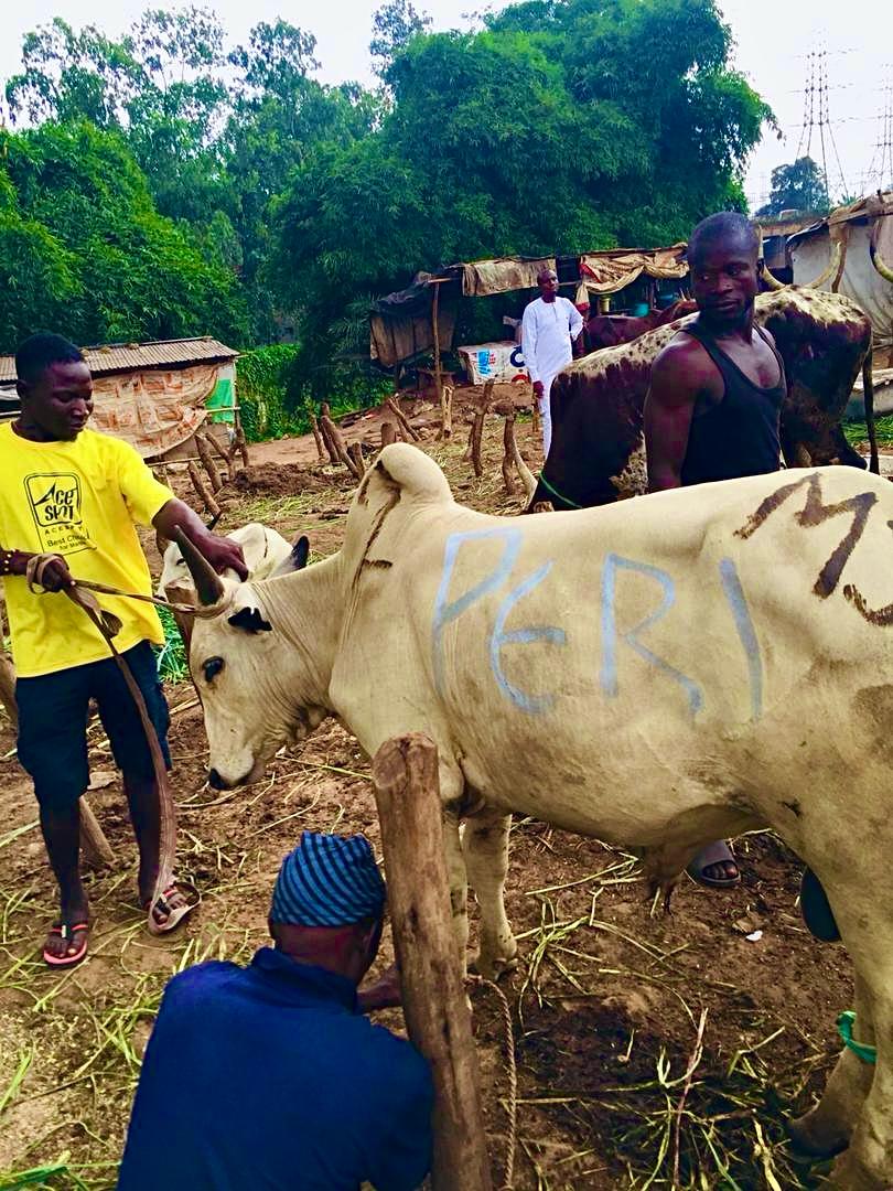 Quentifiy Agriculture 9